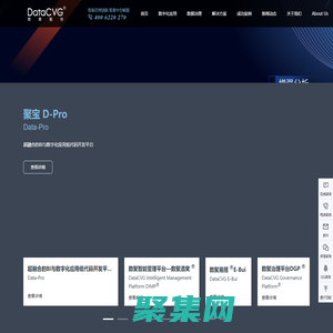 數聚股份-BI|數據中臺|大數據|數據分析|數據治理