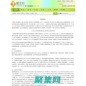 鮮花村-鮮花速遞專家，您貼心的送花使者！