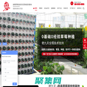 草莓種苗,草莓脫毒種苗,草莓生產(chǎn)苗,紅顏草莓種苗,草莓種苗批發(fā)-合肥市艷九天農(nóng)業(yè)科技有限公司