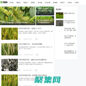農(nóng)服務(wù) - 造福百姓，服務(wù)三農(nóng)，共享發(fā)展