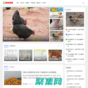 云南省種畜推廣中心-優(yōu)良種畜,種禽,選育,培育奶牛,肉牛,肉鴿,豬,雞,牧草