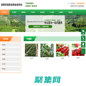 貴州l綠化苗批發(fā)|貴陽苗木批發(fā)|貴州苗木基地|-息烽豐恒農(nóng)業(yè)專業(yè)合作社