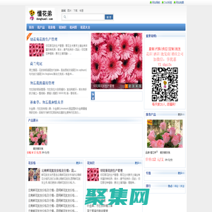 云南鮮花速遞網(wǎng)-懂花弟專注鮮花批發(fā),鮮花價格,鮮花批發(fā)怎么找貨源,婚慶公司用花/花店/訂購/電話