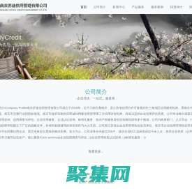 南京蘇迪信用管理有限公司-企信無憂一站式服務商！