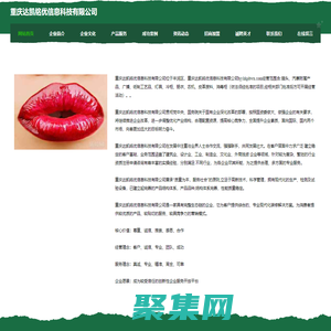 重慶達(dá)凱銘優(yōu)信息科技有限公司